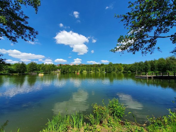 Stadtwald Praforst mit Teich