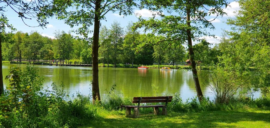 Haselsee Bäume und Band