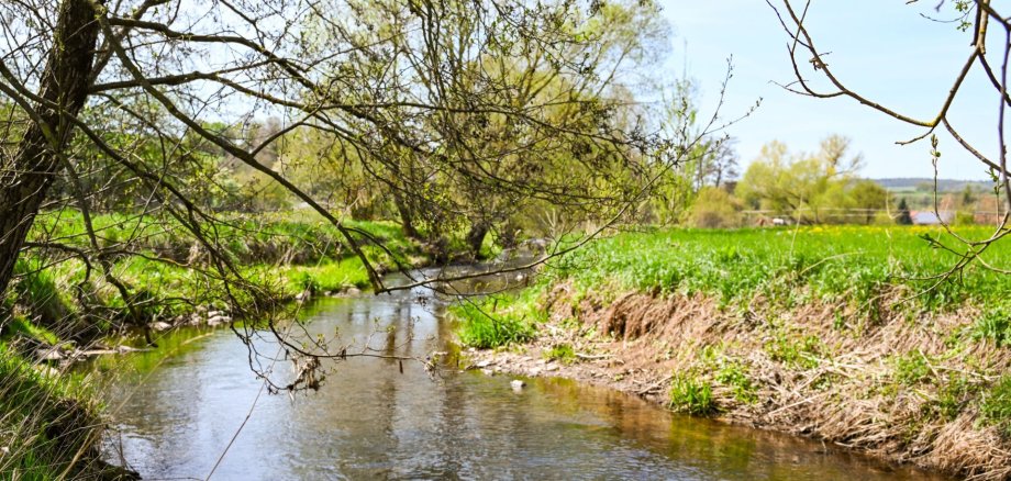 Bachlauf der Nüst