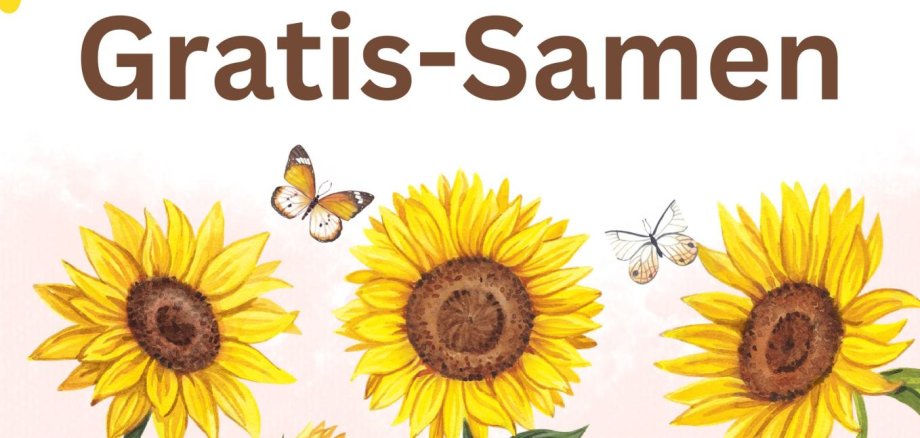 Flyer Gratissamen Sonnenblumen