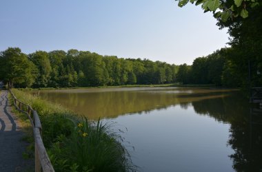 Praforst mit Teich